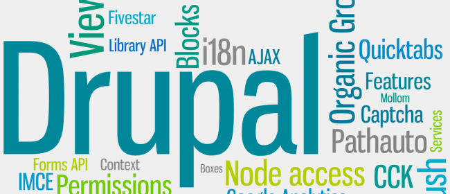 Drupal Development Services