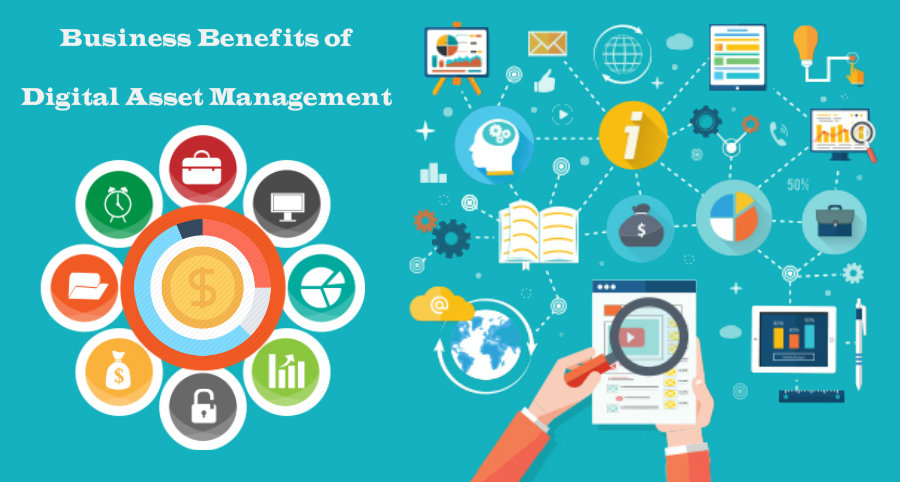 Business benefits of digital asset management | Brainvire Blog