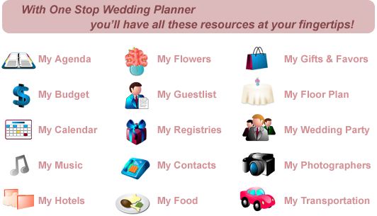 Online Wedding Planner