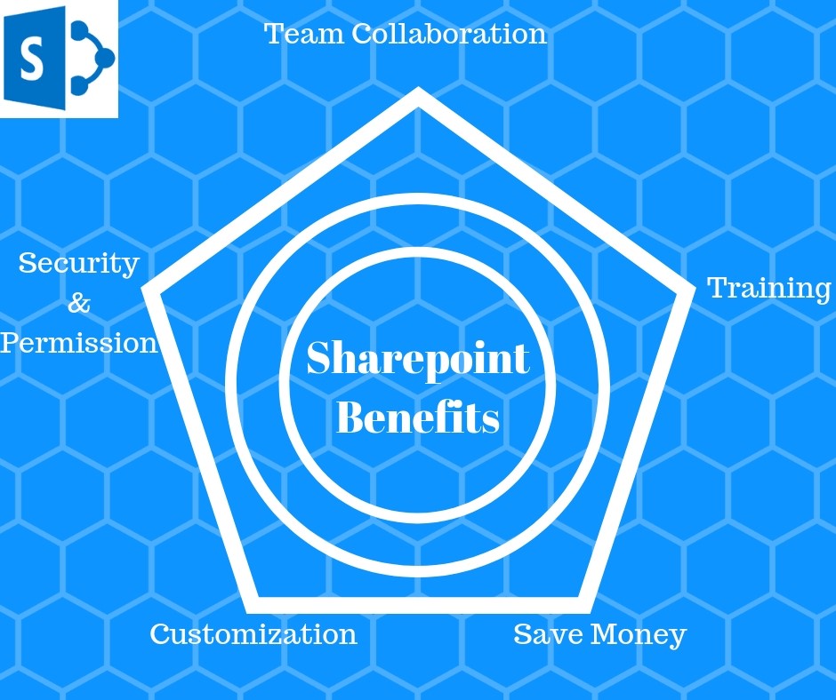 5 Reasons Why Nonprofits Should Use SharePoint