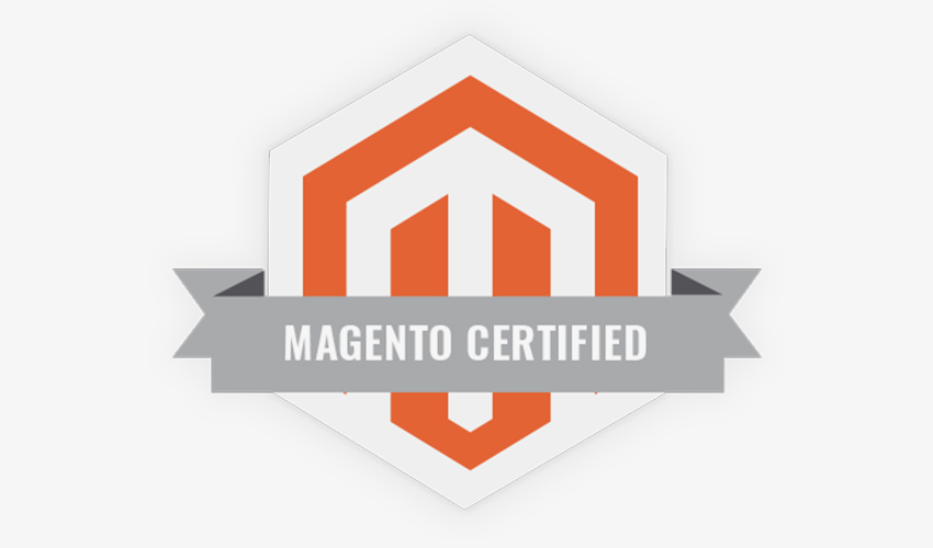 How To Pick The Best Magento Technology Partners