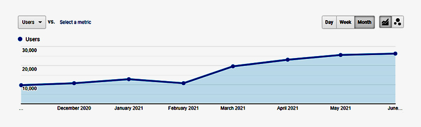 strategy of full-fledged SEO