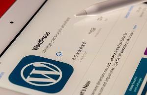 Benefits of Using Professional WordPress Page Speed Optimization Service