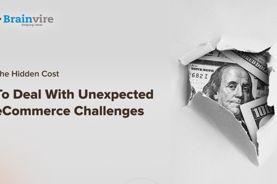 What Are The Hidden Costs of eCommerce Challenges?