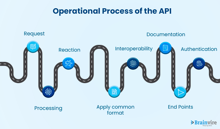 Operational Process of the API