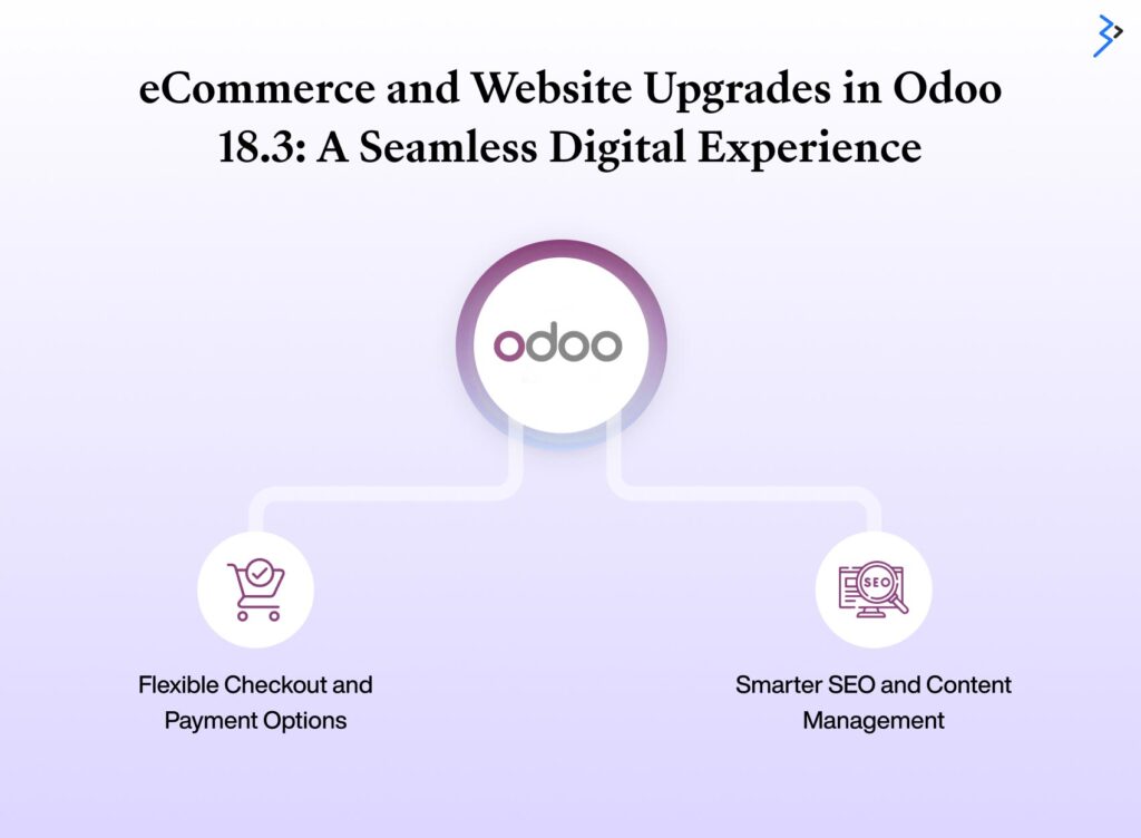 eCommerce and Website Upgrades in Odoo 18.3: A Seamless Digital Experience