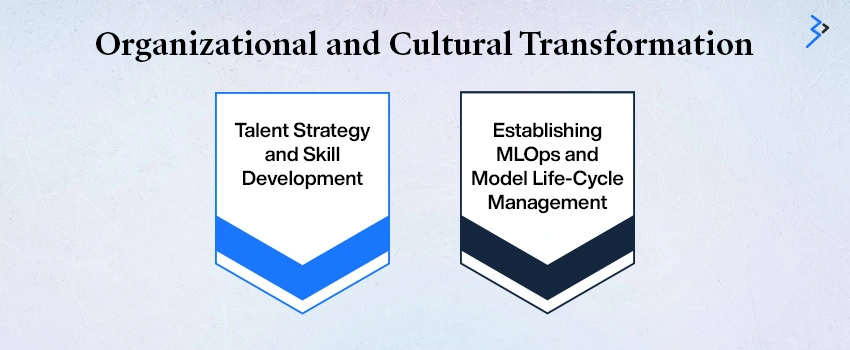 Organizational and Cultural Transformation