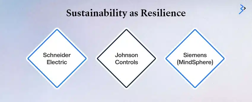 Sustainability as Resilience