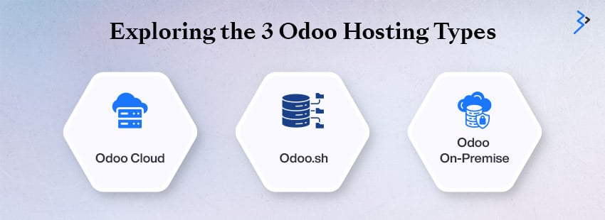 Exploring the 3 Odoo Hosting Types