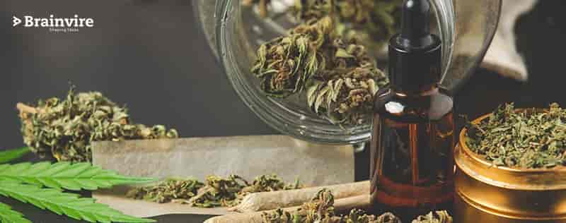 Pre-Launch Vibes – TheWeedTube Featured In Forbes, The Hype Magazine, AdAge & More Pre-Launch Vibes – TheWeedTube Featured In Forbes, The Hype Magazine, AdAge & More