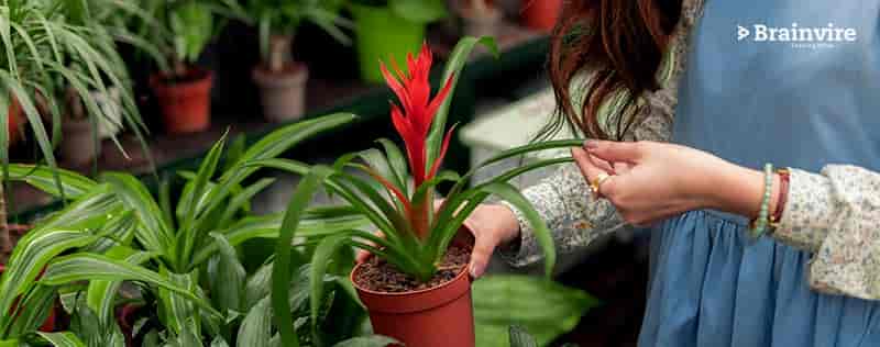 Magento-Odoo Provide 360-Degree Business View to Landscape Supplier