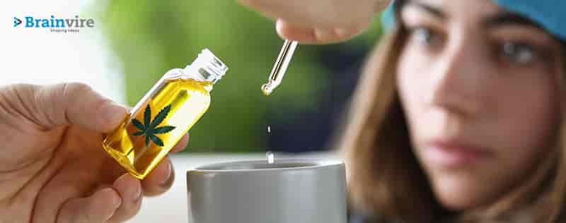 Pipeline Module: A Break-Through for Creative Cannabis Talents