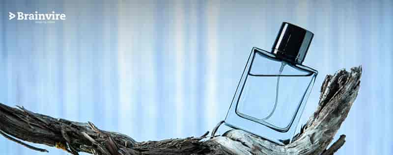 Brainvire’s Strategic Marketing Solutions to Boost Revenue and Online Presence