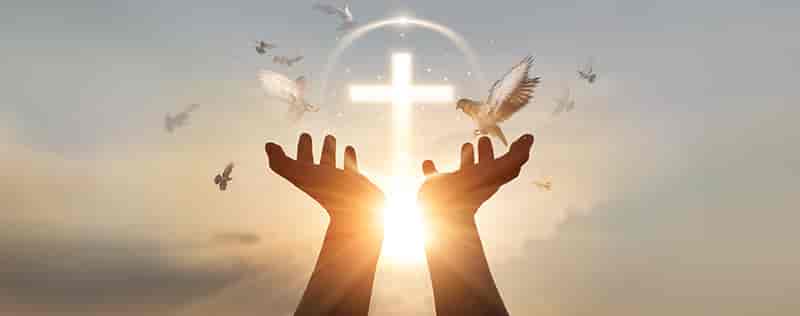 Brainvire Powers Catholic Legacy’s Digital Leap with an Advanced Estate Planning Platform Brainvire Powers Catholic Legacy’s Digital Leap with an Advanced Estate Planning Platform