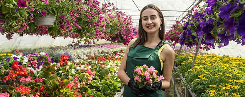 Brainvire Partners with FlowerShopping to Elevate its eCommerce Website Performance Brainvire Partners with FlowerShopping to Elevate its eCommerce Website Performance