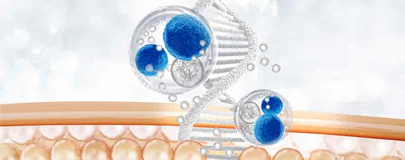 Rejuvstem Transforms Therapy Management with Brainvire Odoo 18