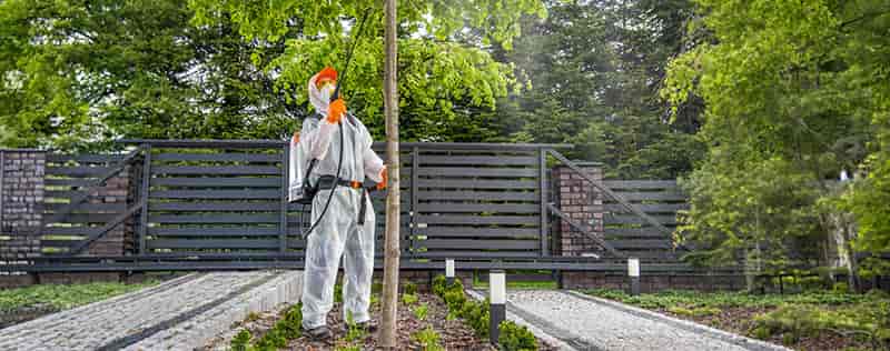 Said Differently and Aptive Partner to Redefine the Digital Landscape of Home Wellness