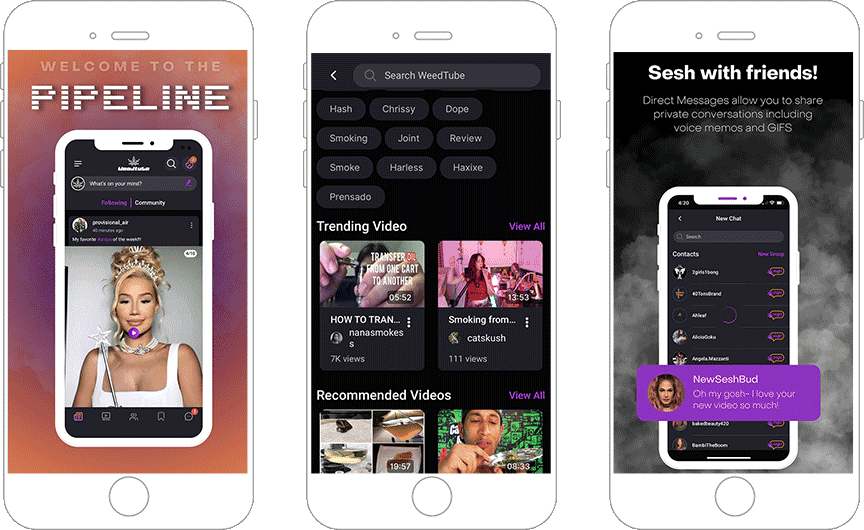 portfolio-detail-banner