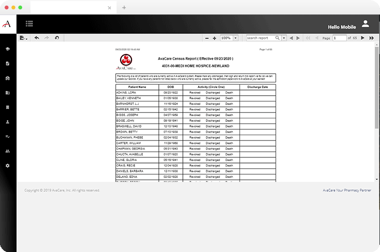 Embedded BI Reports Development for USA based Hospices Management Software Provider