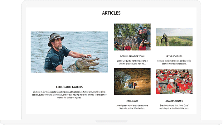 portfolio-detail-banner