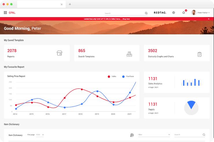 Ecommerce Brand Attains Economic Viability with Brainvire-Designed Reporting Software