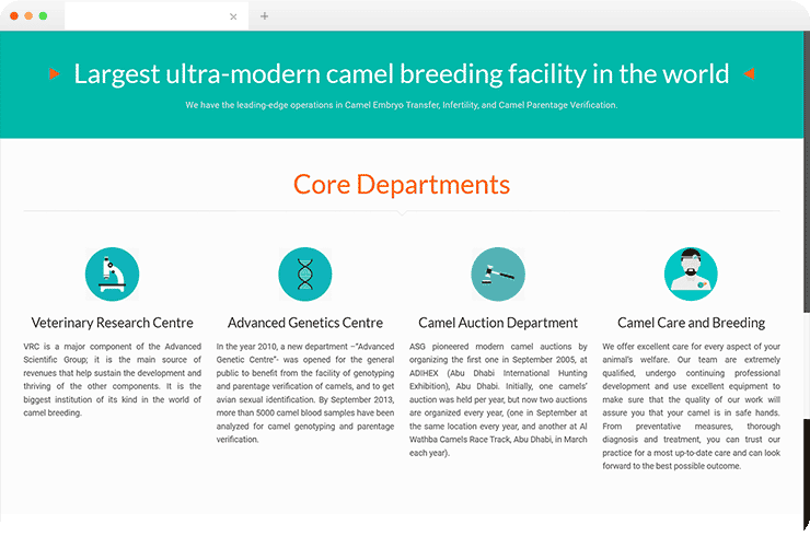 portfolio-detail-banner portfolio-detail-banner