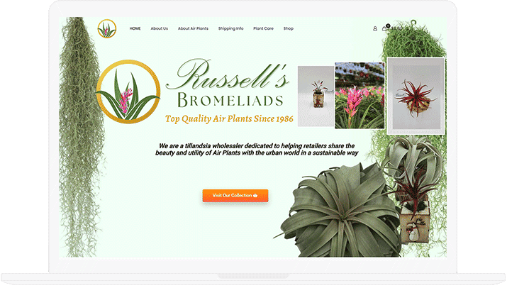 portfolio-detail-banner