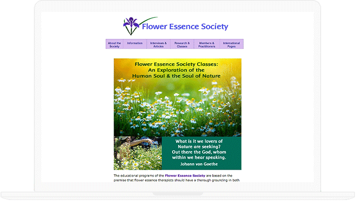 portfolio-detail-banner