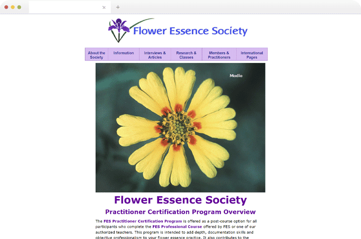 portfolio-detail-banner