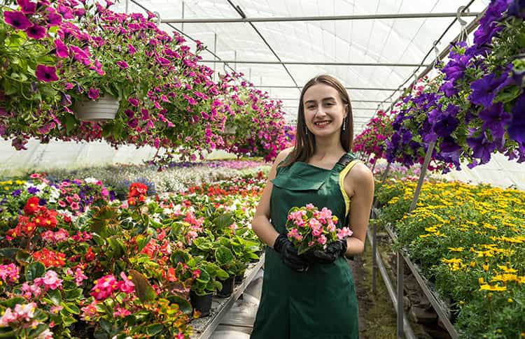 Brainvire Partners with FlowerShopping to Elevate its eCommerce Website Performance