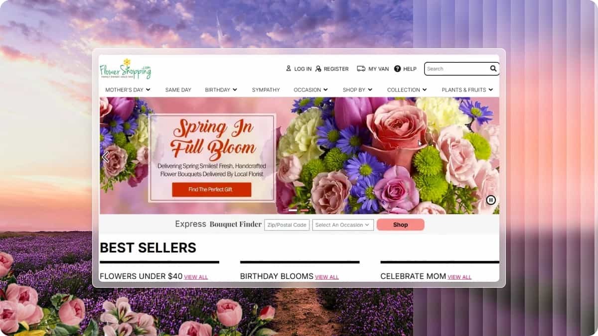 Magento eCommerce Optimization & Hyva Frontend Development