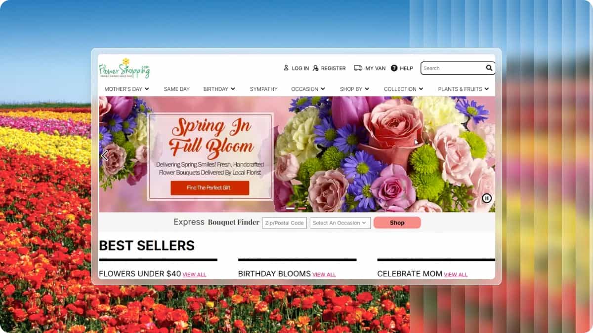 Reliable Magento &amp; Hyva Theme Solutions for Seamless Online Shopping