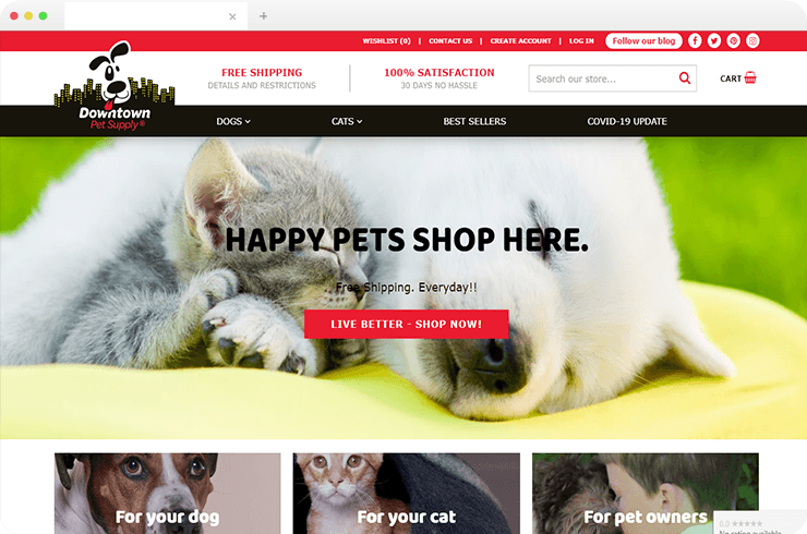 Digital Marketing Activities For an Online Pet Products Store