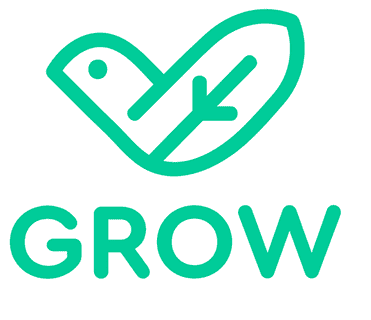 New Mobile and Web App To Create Digital Presence for Kuwait-based Marketplace