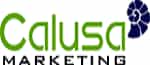 CMS Website for Calusa Marketing