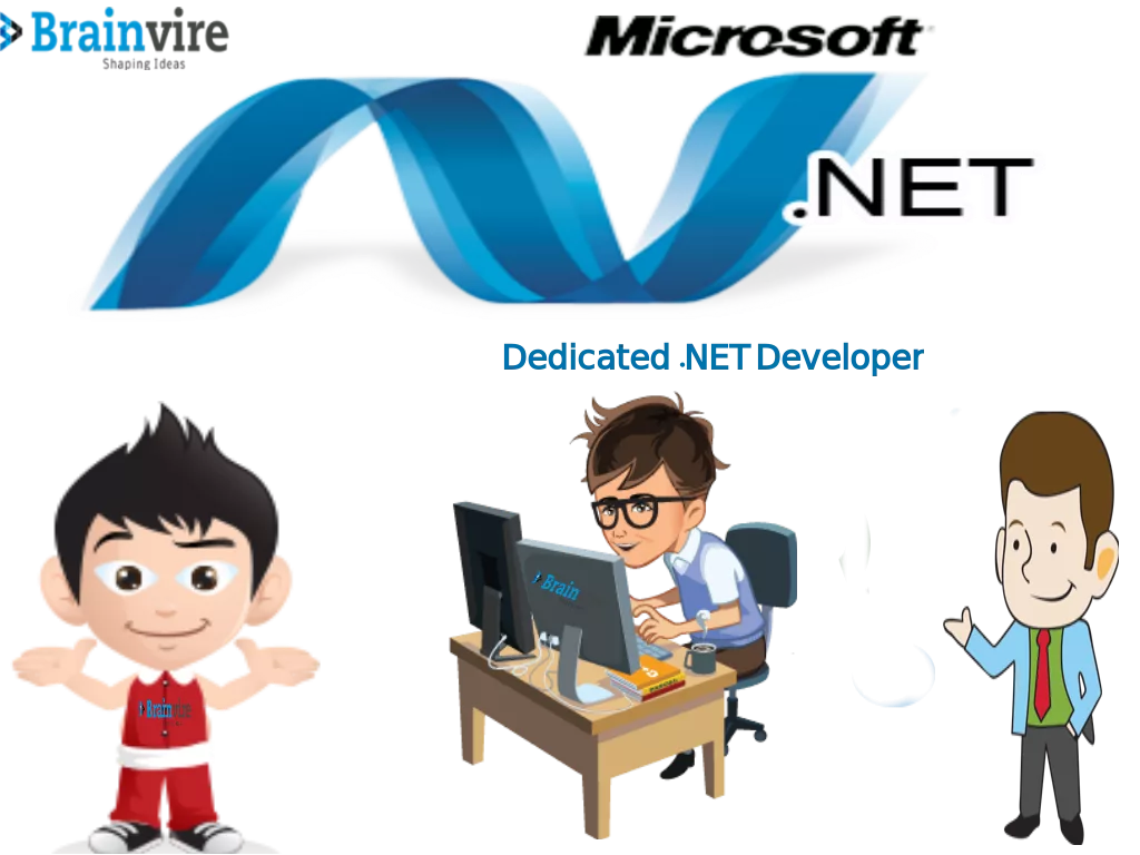 Hire .NET Developer