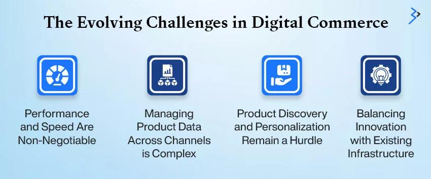 The Evolving Challenges in Digital Commerce