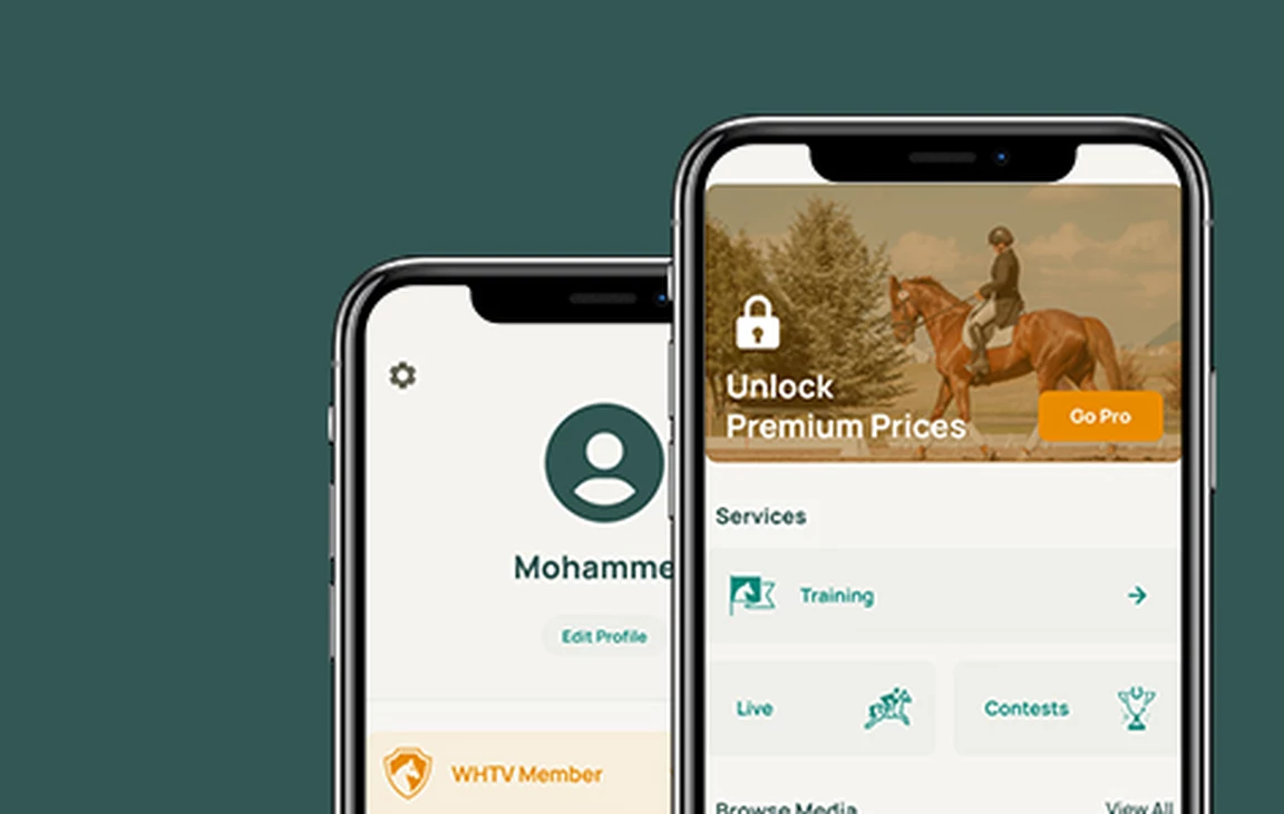 Robust Mobile Application Development on Flutter for the First Live Event Streaming Platform in the Middle East