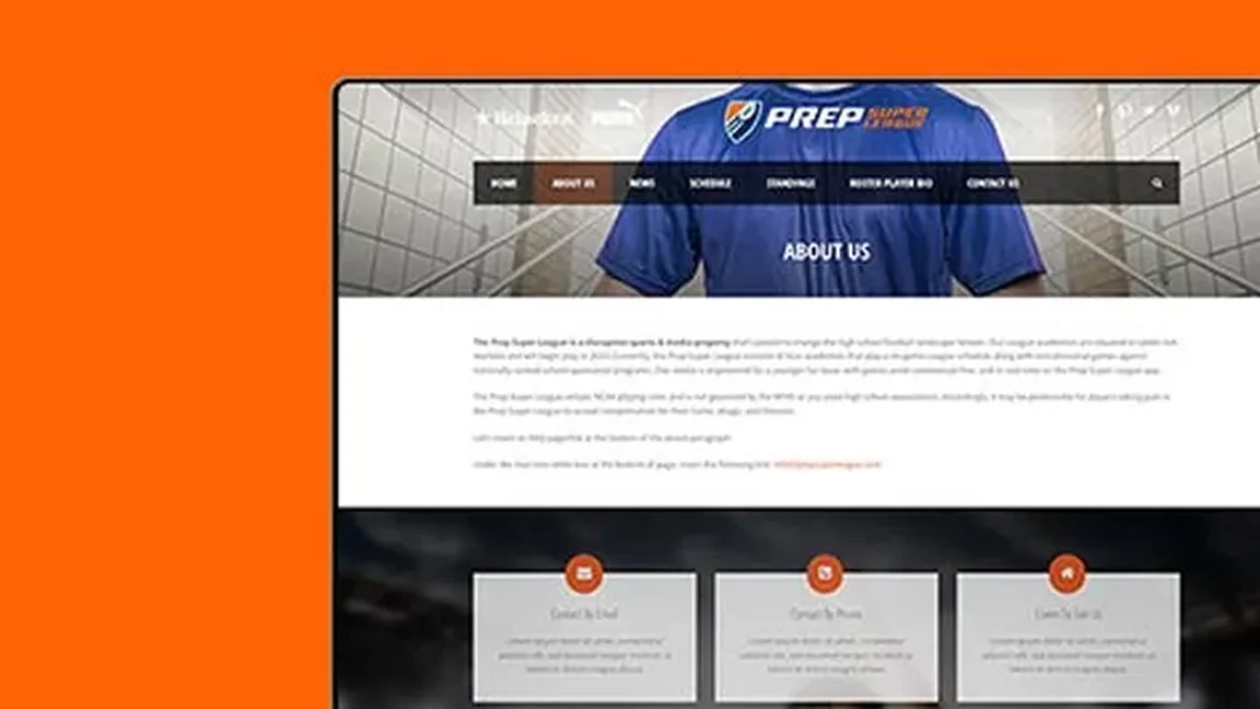 WordPress Website: Sports Enthusiasts Enjoy Seamless Interactivity
