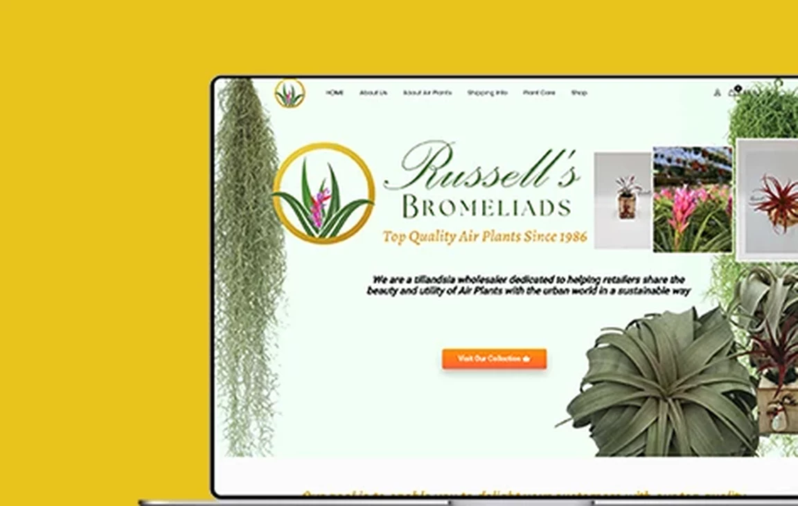 The Russell’s Bromeliads air plant storefront that feeds orders into Odoo ERP