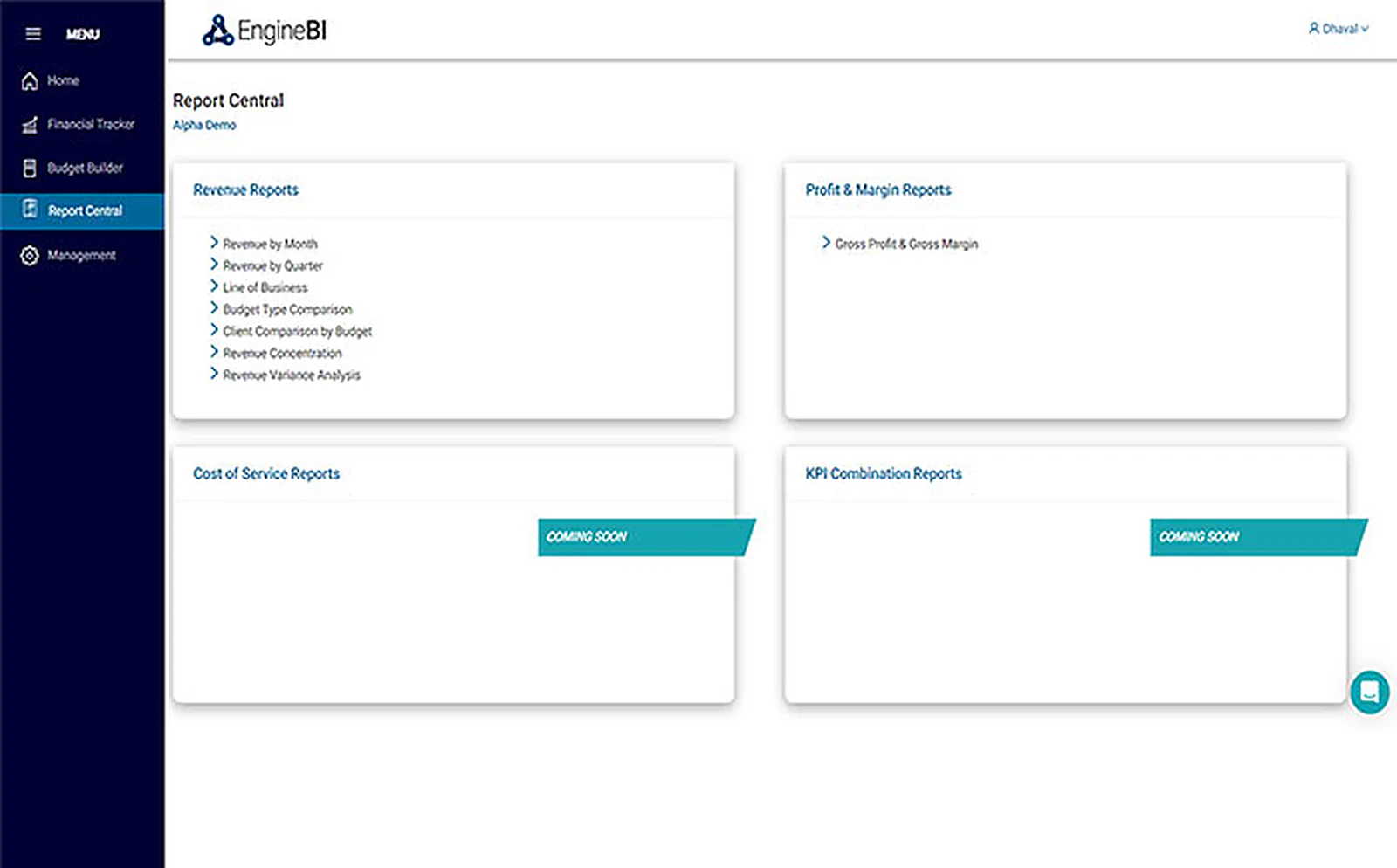 SaaS Finance Company delivered interface, screen 5