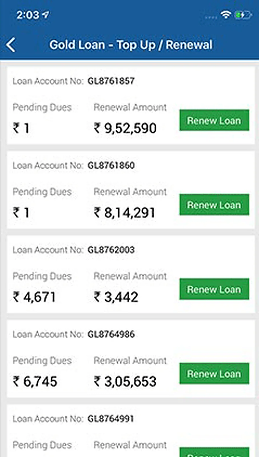 Financial Company App delivered interface, screen 2