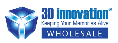 3D Innovation logo
