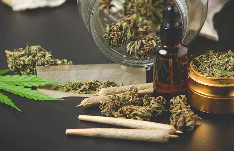 Pre-Launch Vibes – TheWeedTube Featured In Forbes, The Hype Magazine, AdAge & More