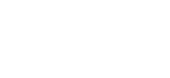 Adobe Gold Solution Partner badge held by Brainvire