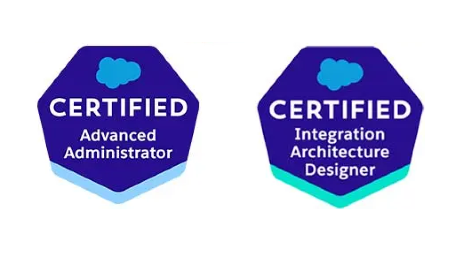 Salesforce Advanced Certified consultants