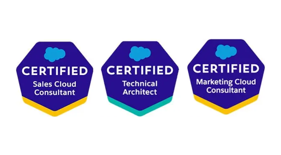 Salesforce Certified consultants