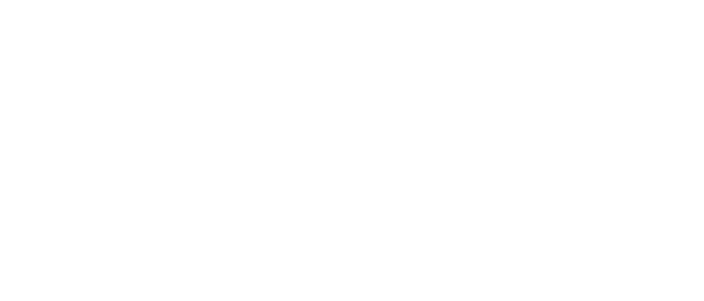 Shopify Plus Partner badge, the tier shown on the Brainvire listing in Shopify's partner directory