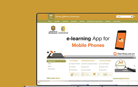 A User Appealing DNN Portal for a Public University