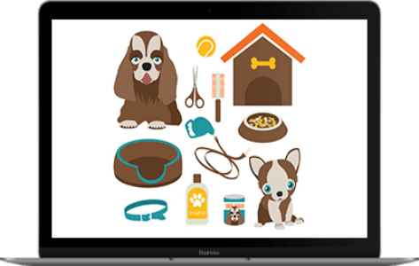 Digital Marketing Activities For an Online Pet Products Store